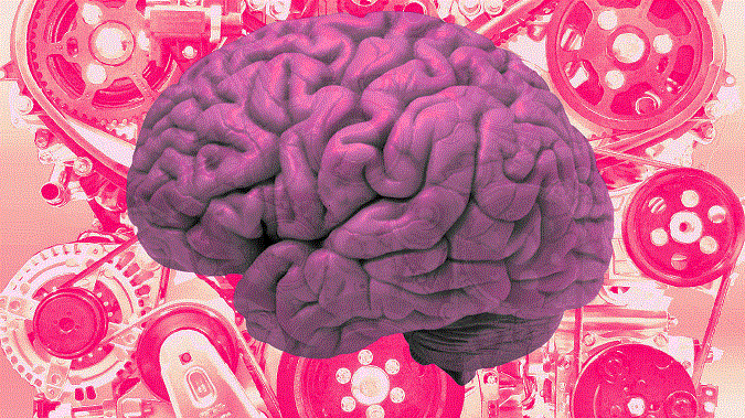 pink_brain