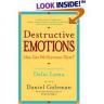 Destructive Emotions-Daniel Goleman