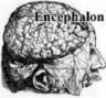 Encephalon brain and mind blog carnival