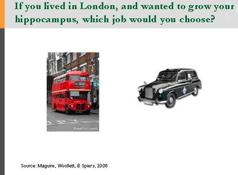 London cab drivers, bus drivers