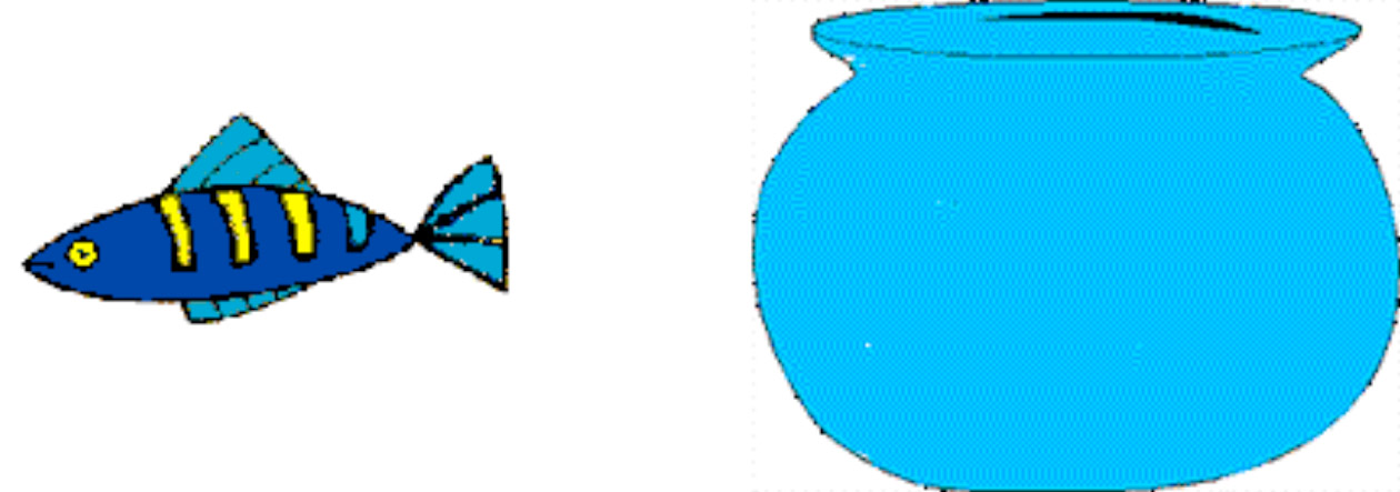 fish bowl illusions test