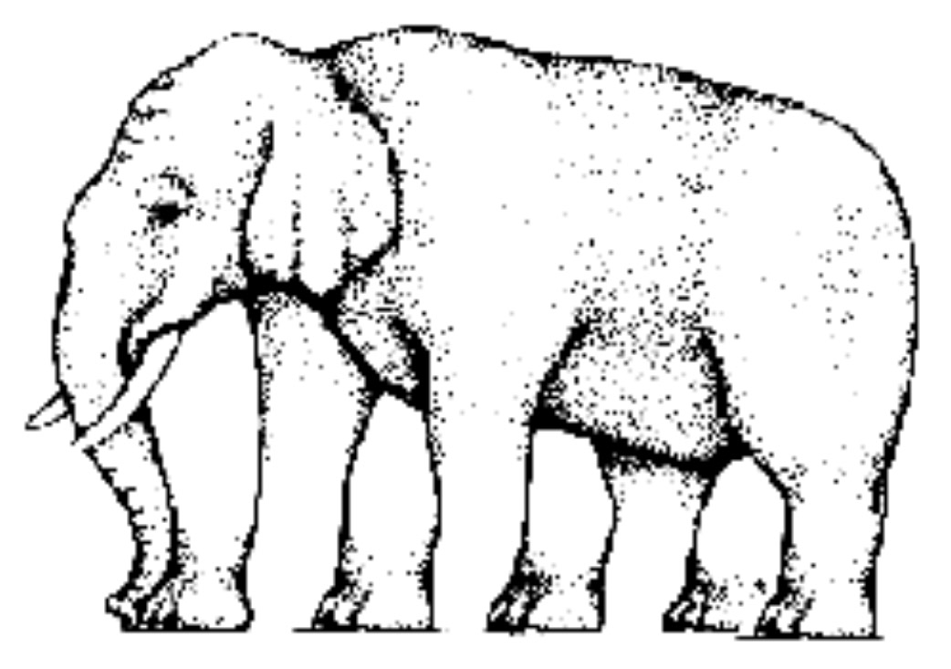 elephant visual illusion test