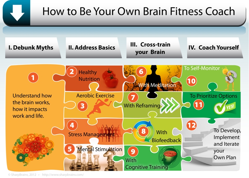 brain fitness program