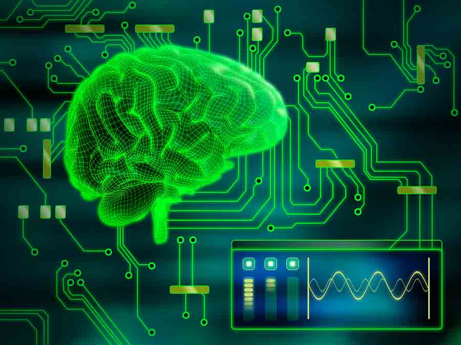 human-brain-biometrics