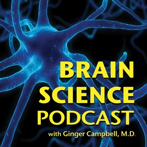 brainsciencepodcast