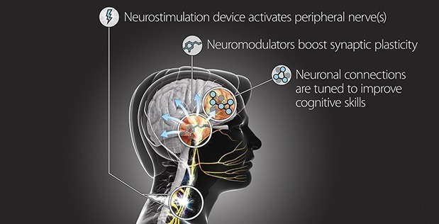 --TNT technology will be designed to safely and precisely modulate peripheral nerves to control synaptic plasticity during cognitive skill training.