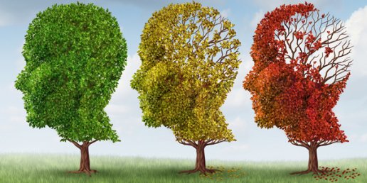 Study finds sharp decrease (nearly one-third) in the prevalence of dementia among those 65+ in the United States